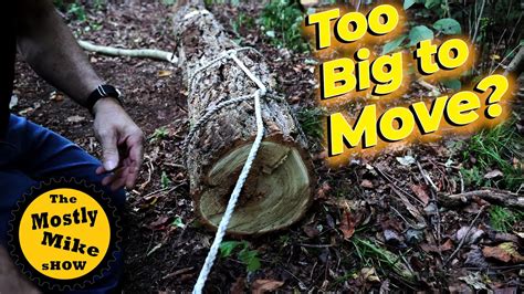 moving large logs without hurting